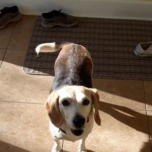 Meet your Posher, Julia